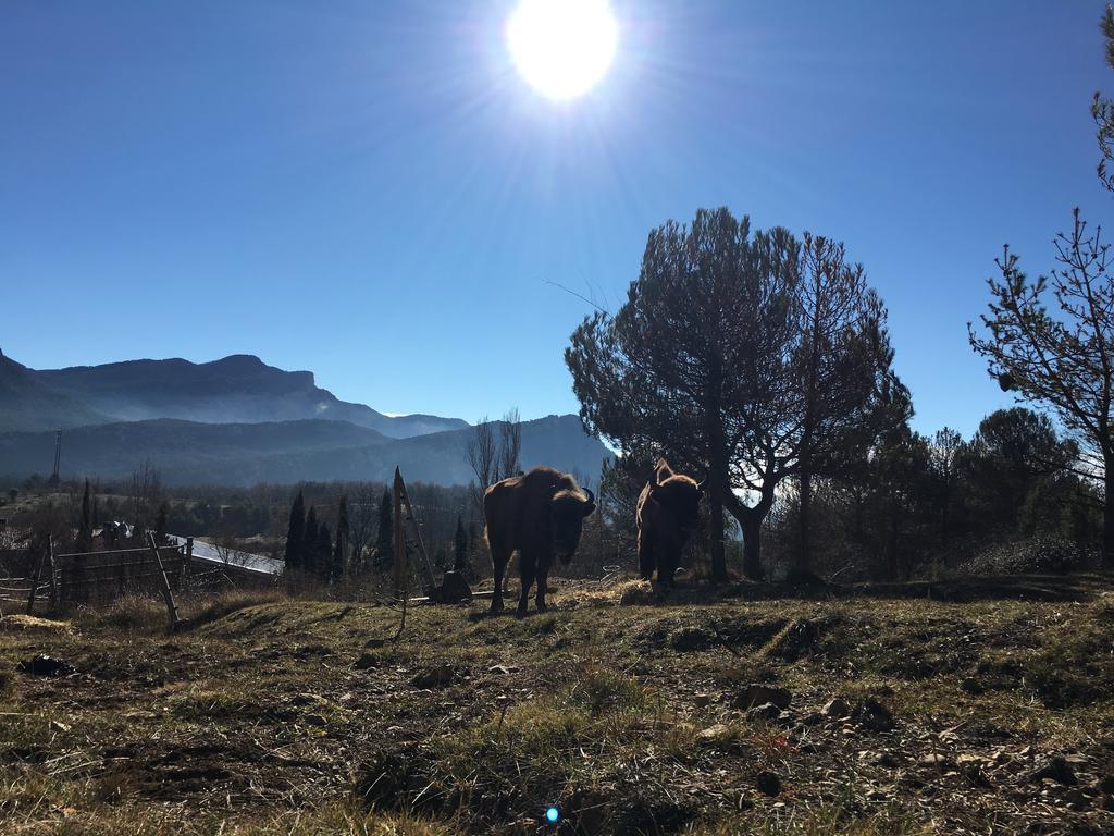 El Jou Nature Sant Corneli Exterior photo